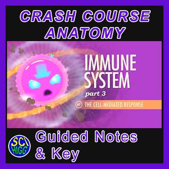 Crash Course Anatomy 47 Immune System Part 3 Guided Notes Key By