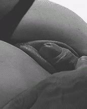 Teasing Gifs Sex Gifs Porn XXX GIFs Page PICTOA