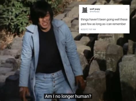 Gay Kamen Rider Memes