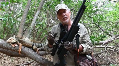 Video: Iguana Hunting With An Air Rifle