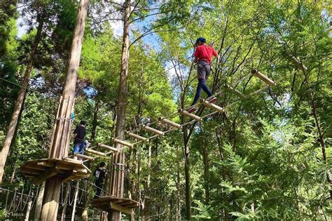 Forest Adventure In Onna Village Klook