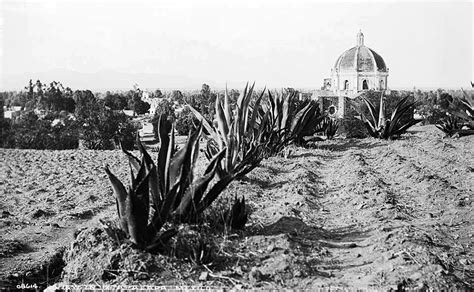 Iztapalapa Santuario Se Or De La Cuevita Ciudad De M Xico