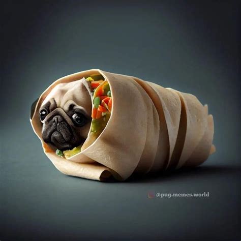 Pin By Anne Liberatore On Pugs Pugs Funny Pugs Baby Pugs