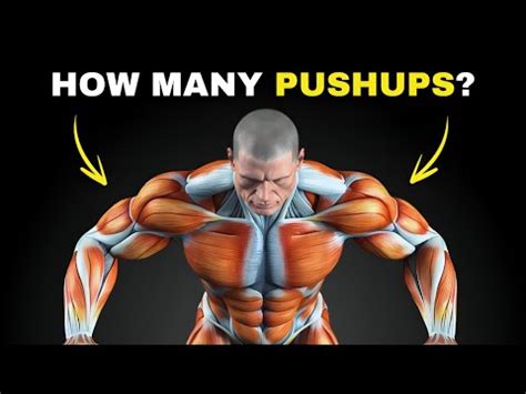 How Many Push Ups Should You Do Daily Step By Step Guide YouTube