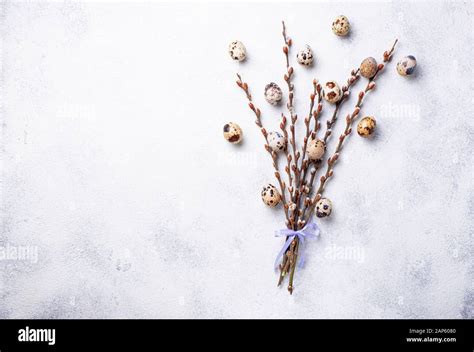 Easter Background With Quail Eggs And Pussy Willow Stock Photo Alamy