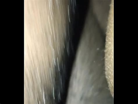 Pof Freak Thot Fucked Outside XVIDEOS