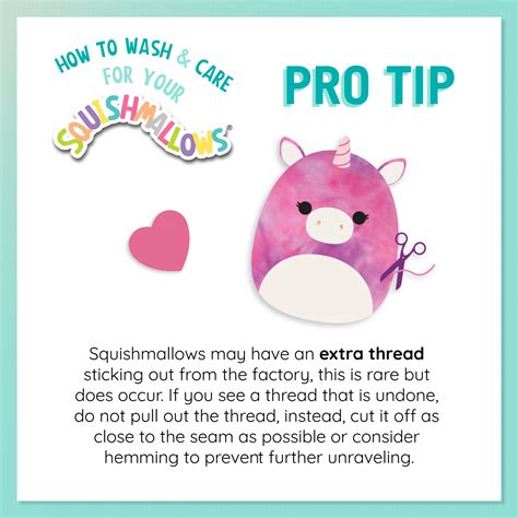 Squishmallows: New Characters, Care, Sizes & More - See Mom Click