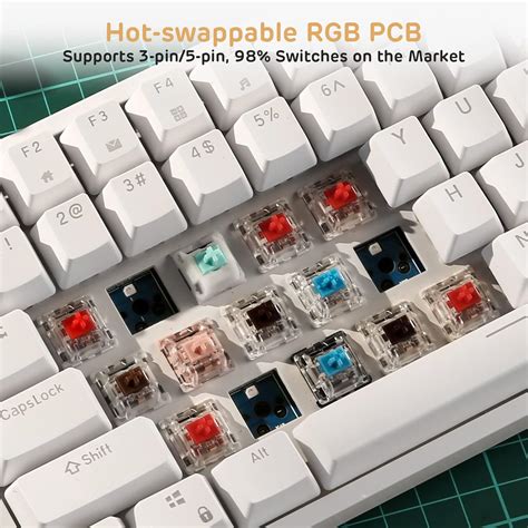 Buy Rk Royal Kludge Rk Wired Rgb Hot Swappable Mechanical Keyboard Keys Tenkeyless Tkl