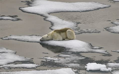 Acht Jaar Klimaatwetenschap Samengevat In Ipcc Rapport We Doen Niet