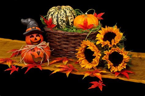 Halloween Autumn Decoration Free Stock Photo Public Domain Pictures