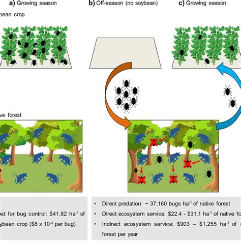 Schematic Representation Of The Ecosystem Service Provided By The