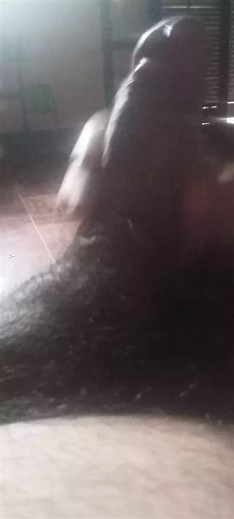 Aguenta Anus Gay Amateur Amateur Porn Feat Paizao Xhamster