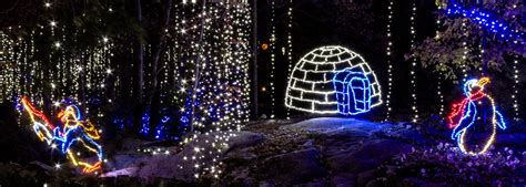 Enchanted Garden of Lights - Rock City Christmas Lights