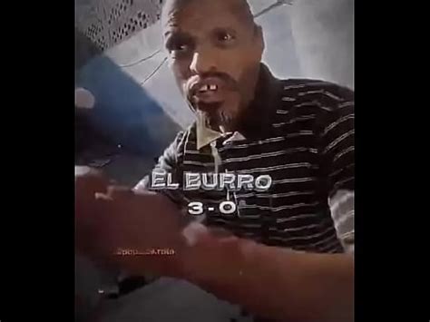Burro Vs Cristo De Iztapalapa XVIDEOS