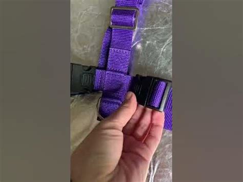 Обзор Шлейки YkkaCollar - YouTube