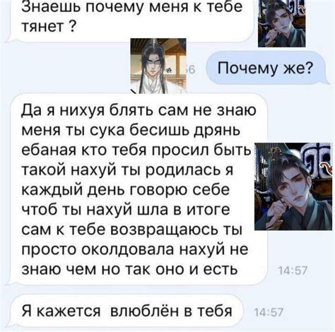 Эрха в 1 скрине | Смешно, Белый кот, Документальная литература