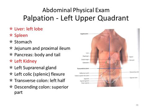 Left Upper Quadrant Pain Causes