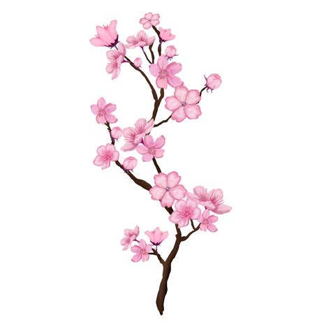 drawing cherry blossom trees 6