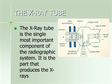 Ppt The X Ray Tube Powerpoint Presentation Free Download Id158889