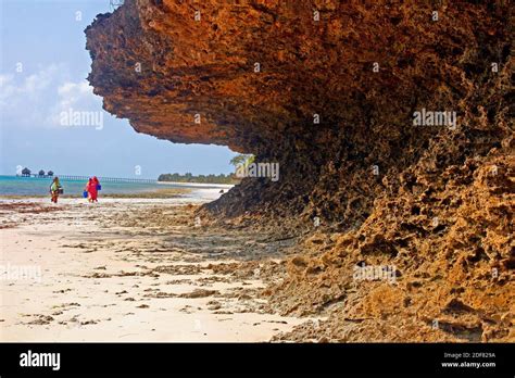 Beach And Coral Rocks Unguja Island Zanzibar Stock Photo Alamy