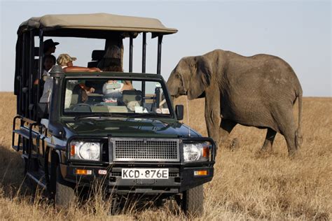 Safari Vehicles for Hire - East Africa Safari Ventures