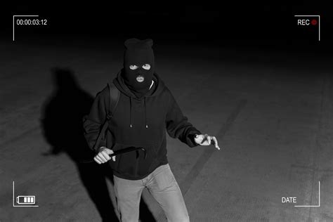 Burglars Caught On Camera Stealing Guns And Money From Michigan Home