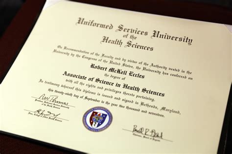 Undergraduate Degree