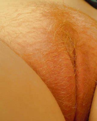 Fire Crotch Orange Pubes 1 Porn Pictures XXX Photos Sex Images 2086165 PICTOA