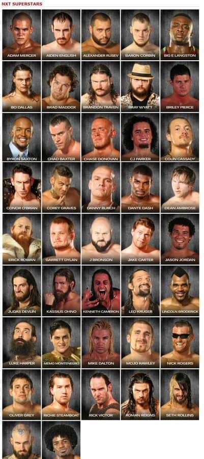 The original NXT roster : WWE