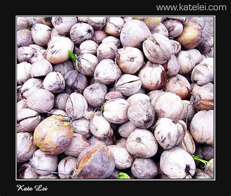 Baunti Photograph by Kate Leikin - Fine Art America