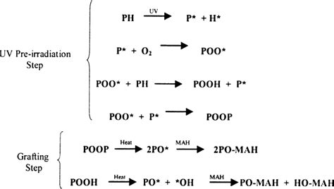 Peroxidation mechanism of polymers and the grafting reaction. | Download Scientific Diagram