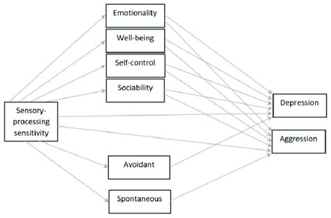 Theoretical Model Of Sensory Processing Sensitivity And Pathways To