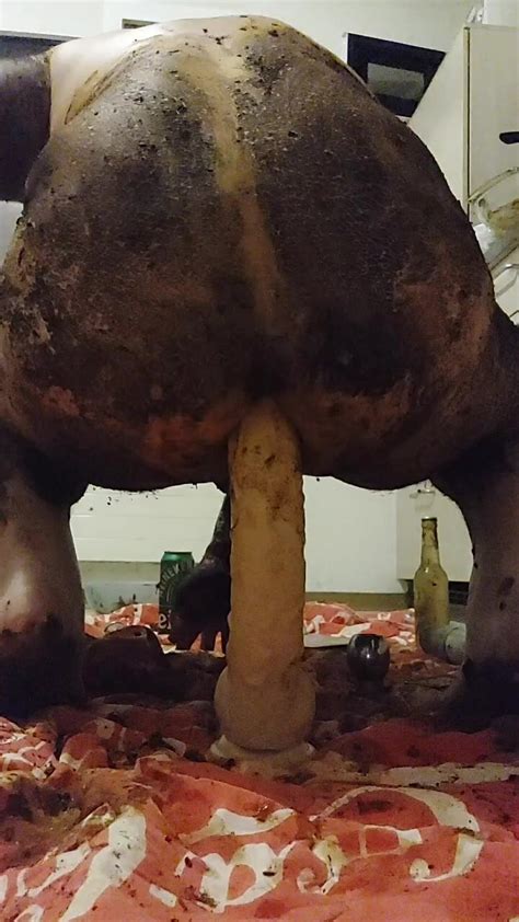 Ass Fucking Fun ThisVid