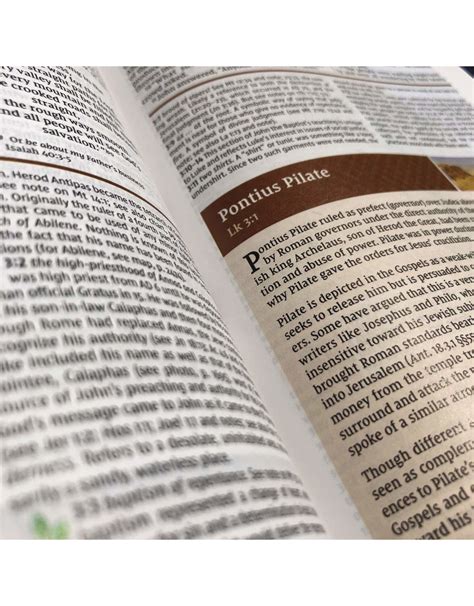 NIV Study Bible, Leathersoft, Navy/Tan, Red Letter, Thumb Indexed, Comfort Print - Reilly's
