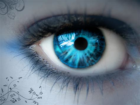 Blue Eye - Healthy And Information