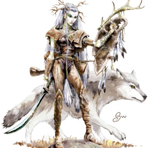 Druid Dnd Druid Druid Dungeons And Dragons Characters