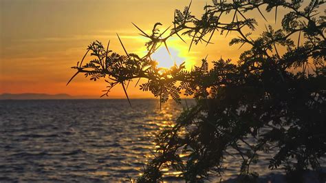 ocean seascape landscape  sunset  stock video  vecteezy