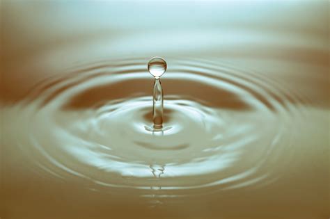 images droplet liquid light warm water drop petal glass