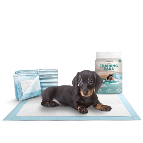 Do Puppy Training Pads Have A Scent