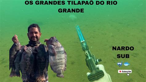 OS GRANDES TILAPAÕ DO RIO GRANDE TEMPORADA 2023 CONFIRA AÍ TMJ YouTube