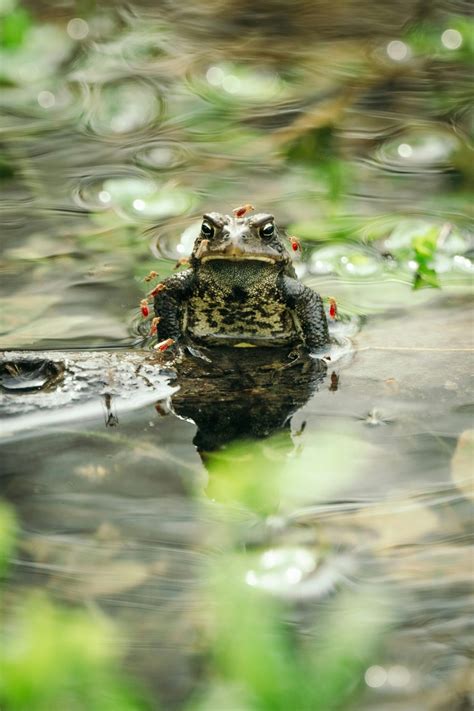 What Is Well Water Quality? - Water Well Owners