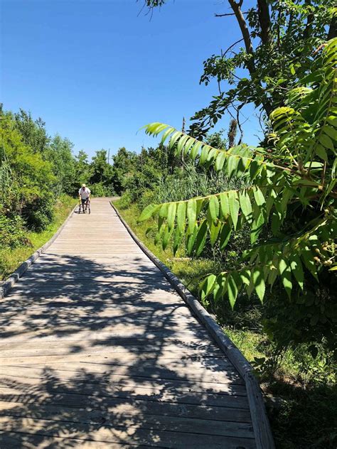 Nude Hung Gay Men At Nude Beach Vametsilicon