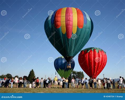 Hot Air Balloon Rally Editorial Stock Image Image Of Skyward 4240724