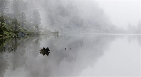 30 Creepy Disappearance Cases That Will Give You Chills | Thought Catalog