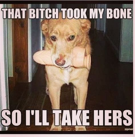 Dog Memes Funny Pictures With Dogs And Puppy