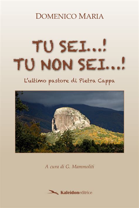 Tu Sei Lei 6