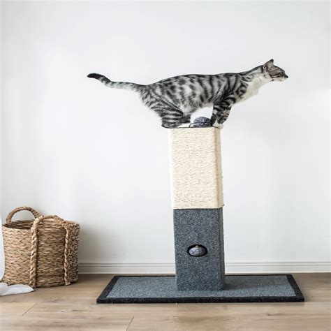 Catry Natural Minimalist Large Cat Scratching Post 31 H Petco