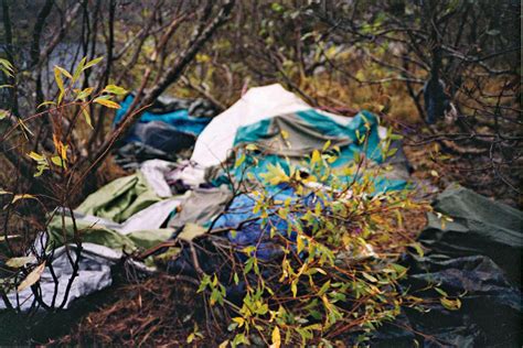 Forensic Analysis of Timothy Treadwell Coroner Case Records 13