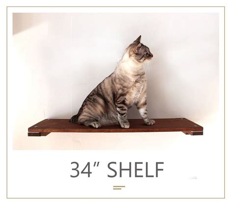 Catastrophicreations Cat Shelf Wall Mounted Elevated Climb Lounge