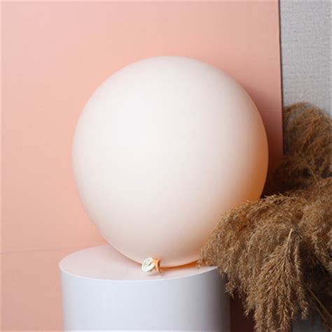 Pcs Balloons Garland Arch Kit Retro Double Layers Pink Nude Etsy Australia